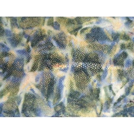 Peau de galuchat - perle centrale - cuir exotique - aquarelle vert - Cuirenstock