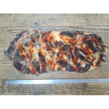 Peau de galuchat - perle centrale - cuir exotique - aquarelle noir/brique - Cuir en stock