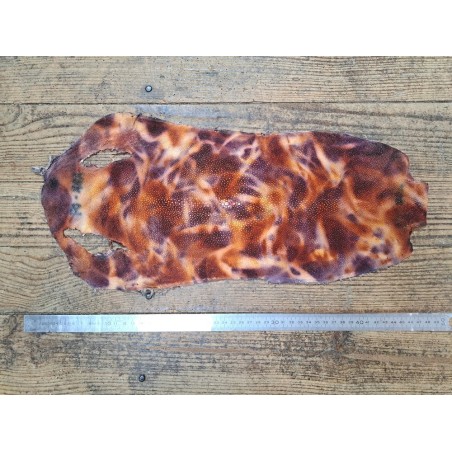 Peau de galuchat - perle centrale - cuir exotique - aquarelle violet/brique - Cuir en stock