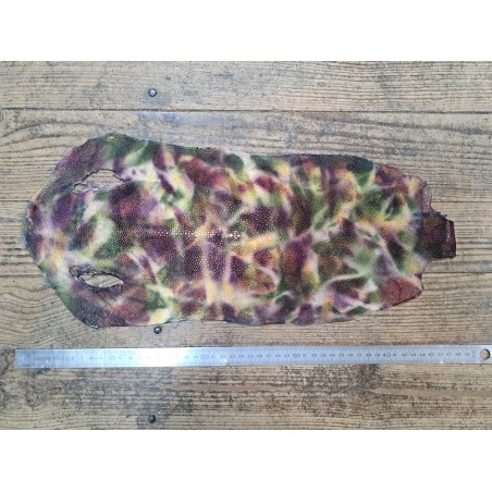 Peau de galuchat - perle centrale - cuir exotique - aquarelle violet/vert - Cuir en stock