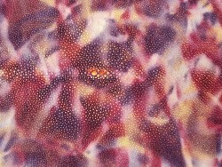 Peau de galuchat - perle centrale - cuir exotique - aquarelle rose/violet - Cuir en stock