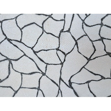 Peau de galuchat - perle centrale - cuir exotique - craquelé blanc/noir - Cuirenstock