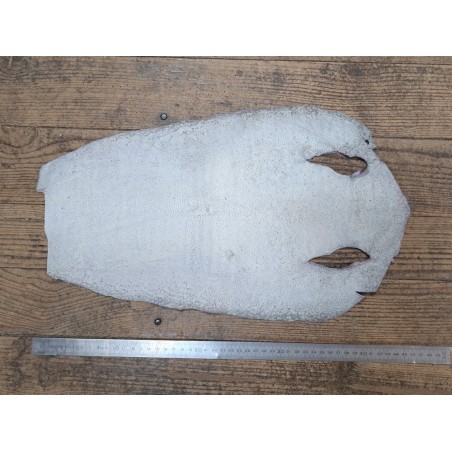 Peau de galuchat - perle centrale - cuir exotique - tacheté rose - Cuirenstock