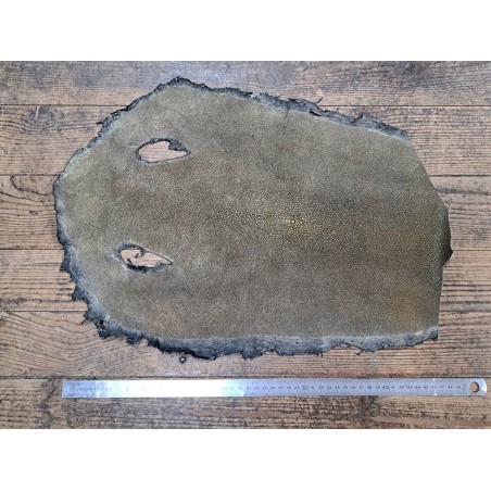 Peau de galuchat - perle centrale - cuir exotique - or antique - Cuirenstock