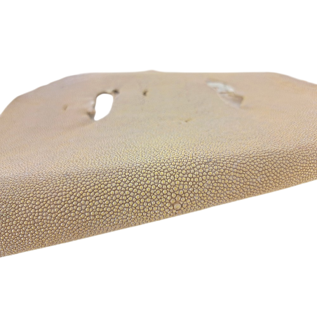 Peau de galuchat - perle centrale - cuir exotique - beige - Cuir en stock