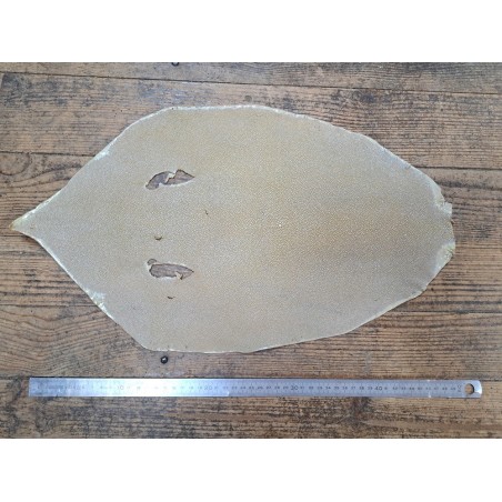 Peau de galuchat - perle centrale - cuir exotique - beige - Cuirenstock