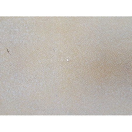 Peau de galuchat - perle centrale - cuir exotique - beige - cuir en stock