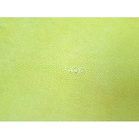 peau galuchat - exotique - jaune fluo - Cuirenstock