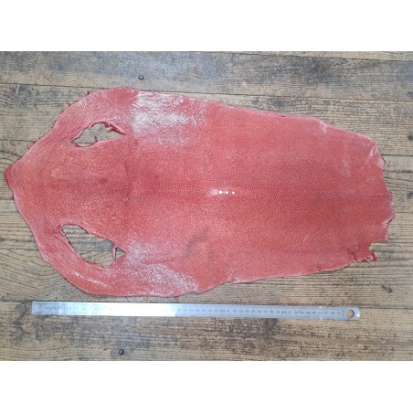 Peau de galuchat - perle centrale - cuir exotique - rose saumon - Cuir en stock