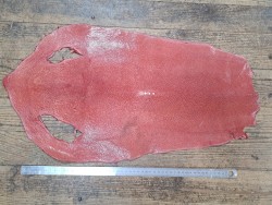 Peau de galuchat - perle centrale - cuir exotique - rose saumon - Cuir en stock