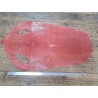Peau de galuchat - perle centrale - cuir exotique - rose saumon - Cuir en stock