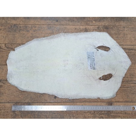 Peau de galuchat - perle centrale - cuir exotique - or - Cuir en stock