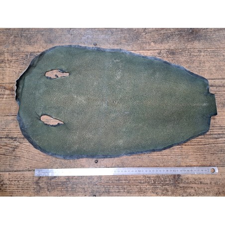 Peau de galuchat - perle centrale - cuir exotique - vert paillettes dorée - Cuirenstock