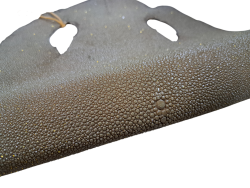 Peau de galuchat - perle centrale - cuir exotique - kaki - Cuir en stock