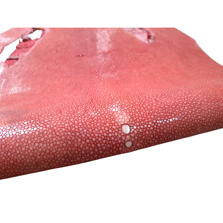 Peau de galuchat - perle centrale - cuir exotique - rose saumon - Cuir en stock