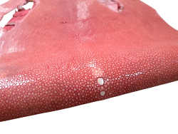 Peau de galuchat - perle centrale - cuir exotique - rose saumon - Cuir en stock