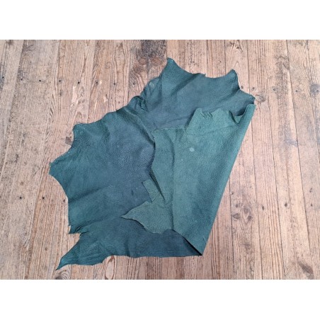 Peau de cuir d'émeu - Vert - Maroquinerie - Vêtement - Cuir en Stock