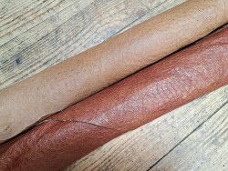 peau de cuir d'émeu - noisette/brun clair - maroquinerie - vêtement - cuirenstock