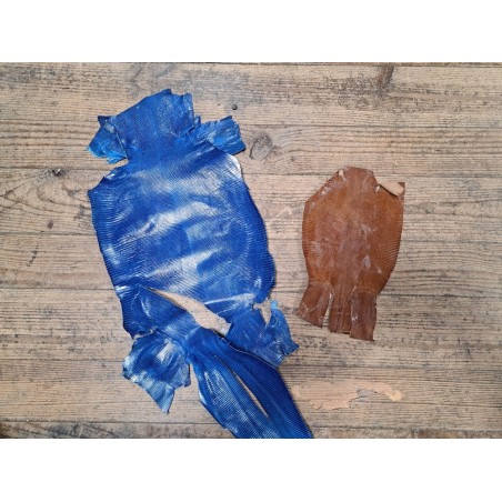 Lot de 2 peaux de cuir de lézard - D - Caramel/Bleu électrique