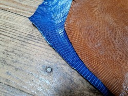 Lot de 2 peaux de cuir de lézard - D - Caramel/Bleu électrique