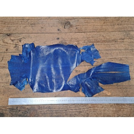 Lot de 2 peaux de cuir de lézard - D - Caramel/Bleu électrique