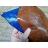 Lot de 2 peaux de cuir de lézard - D - Caramel/Bleu électrique