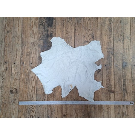 Peau de cuir d'autruche blanc poudré - picots luxe - cuir en stock