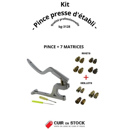 Kit complet - Pince presse d'établi + matrices pour pose d'accessoires - Rivets et Œillets