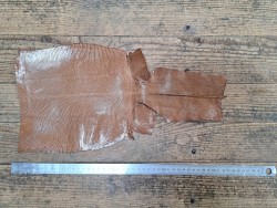 Lot de 2 peaux de cuir de lézard - C - Gris clair/Brun clair