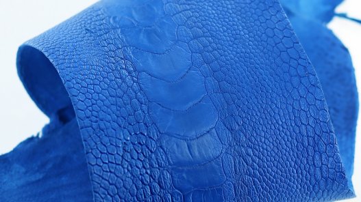 peau de patte d'autruche bleu outremer maroquinerie accessoire luxe exotique cuir en stock