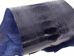 peau de patte d'autruche bleu marine brillante maroquinerie accessoire luxe exotique cuir en stock