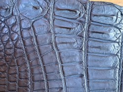 Peau de cuir de crocodile bleu marine mat - Cuir en stock