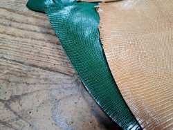 Lot de 2 peaux de cuir de lézard - B - Vert/Brun clair
