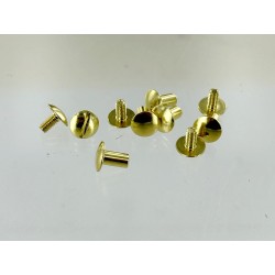 Lot de 5 grand vis chicago bombé laiton massif - doré - Cuir en Stock