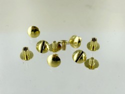 Lot de 5 boutons de col finition LAITON - Standard - Cuir en Stock
