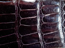 Cuir de crocodile - bordeaux satiné - Cuir en Stock
