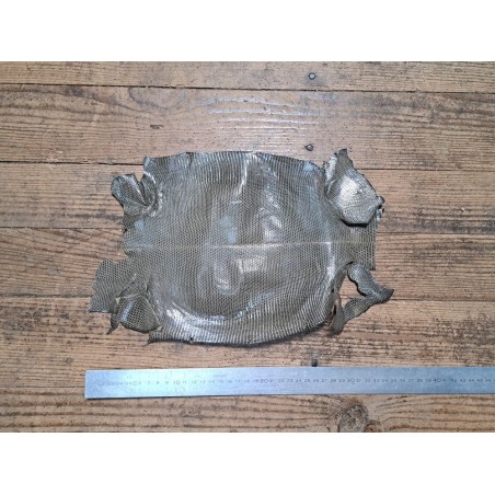 Lot de 2 peaux de cuir de lézard - E - Beige/Kaki