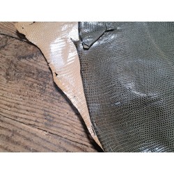 Lot de 2 peaux de cuir de lézard - E - Beige/Kaki