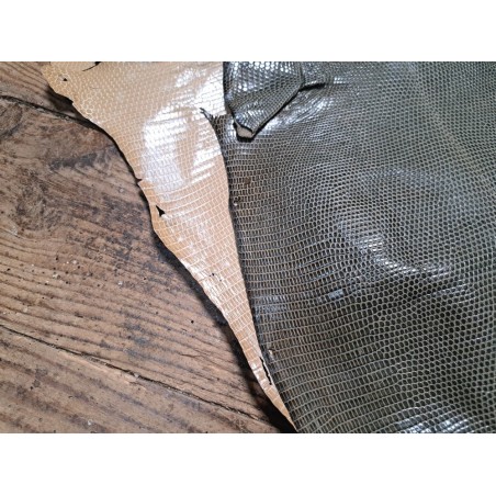 Lot de 2 peaux de cuir de lézard - E - Beige/Kaki