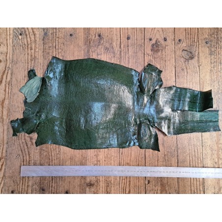 Lot de 2 peaux de cuir de lézard - D - Vert/Marine