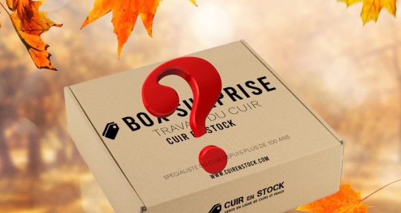 BOX SURPRISE 🍂 Automne 🍂  - Découverte du cuir - Cuir en Stock