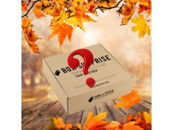 BOX SURPRISE 🍂 Automne 🍂 - Découverte du cuir - Cuir en Stock