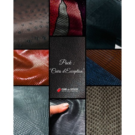 Pack Cuirs d’Exception – Peaux rares et exotiques de luxe | Cuir en Stock