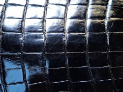 Cuir de crocodile - queue noir satiné - Cuir en Stock