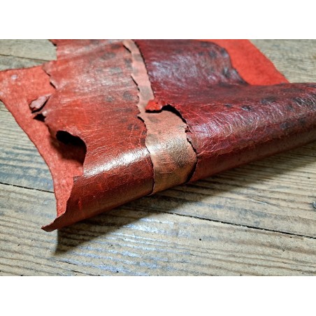 Lot de 3 peaux uniques - Loup de Mer - B - Cuir en Stock