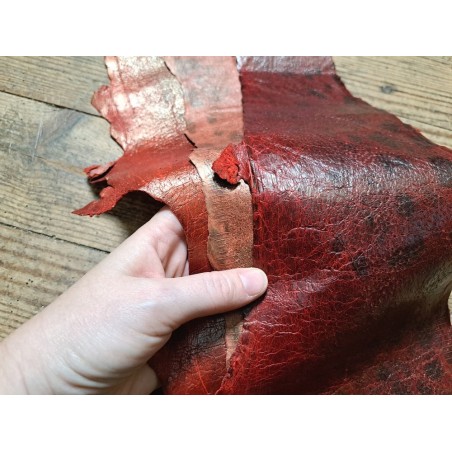 Lot de 3 peaux uniques - Loup de Mer - B - Cuir en Stock