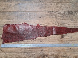 Lot de 3 peaux uniques - Loup de Mer - B - Cuir en Stock