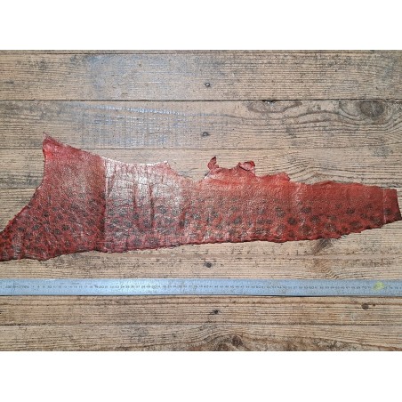 Lot de 3 peaux uniques - Loup de Mer - B - Cuir en Stock