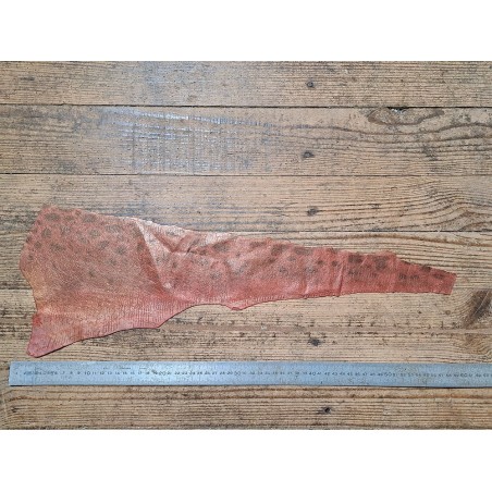 Lot de 3 peaux uniques - Loup de Mer - B - Cuir en Stock