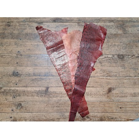 Lot de 3 peaux uniques - Loup de Mer - B - Cuir en Stock